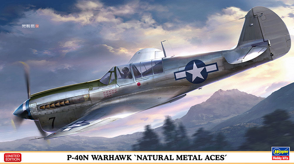 Hasegawa P-40N Warhawk Natural Metal Aces