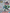 Bandai SD Gundam Silhouette Booster