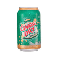 Ginger Ale 355 ml