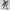 Bandai HG V Gundam HWS FA-93HWS V Gundam Heavy Weapon